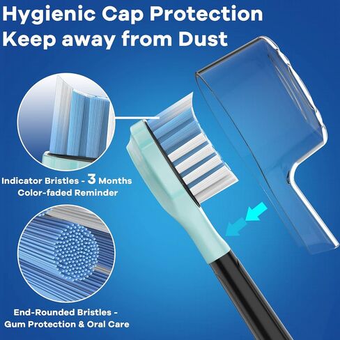 برايت ديل رؤوس فرشاة اسنان كهربائية سونيكير بروتكتيف كلين دايموند كلين ديلي كلين ايزي كلين هيلثي وايت اكسبرت كلين W C2 G2 C3 G3 W3 C1 فرشاة اسنان كهربائية سونيك 4100 5100 ابيض، 10 قطع in Kuwait