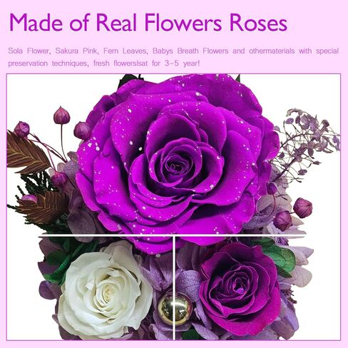 الورود المحفوظة ، الزهور المحفوظة ، الزهور الحقيقية في قبة زجاجية ، زهرة عيد ميلاد للنساء ، هدايا الورود الأرجواني لأمي جدة زوجة الأخت in Kuwait