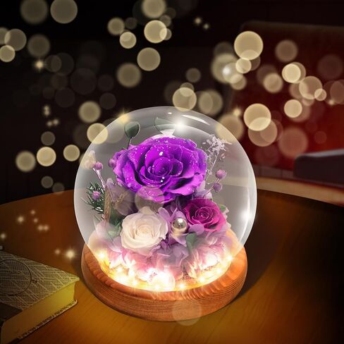الورود المحفوظة ، الزهور المحفوظة ، الزهور الحقيقية في قبة زجاجية ، زهرة عيد ميلاد للنساء ، هدايا الورود الأرجواني لأمي جدة زوجة الأخت in Kuwait