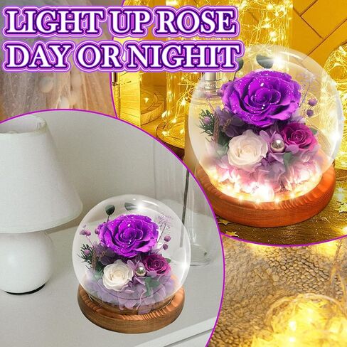الورود المحفوظة ، الزهور المحفوظة ، الزهور الحقيقية في قبة زجاجية ، زهرة عيد ميلاد للنساء ، هدايا الورود الأرجواني لأمي جدة زوجة الأخت in Kuwait
