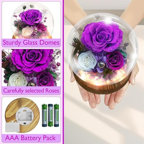الورود المحفوظة ، الزهور المحفوظة ، الزهور الحقيقية في قبة زجاجية ، زهرة عيد ميلاد للنساء ، هدايا الورود الأرجواني لأمي جدة زوجة الأخت in Kuwait