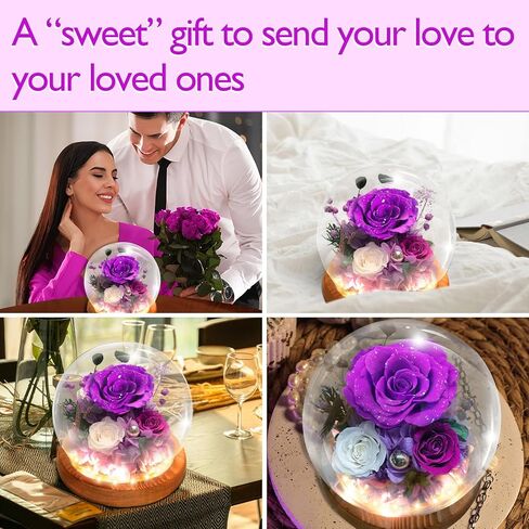 الورود المحفوظة ، الزهور المحفوظة ، الزهور الحقيقية في قبة زجاجية ، زهرة عيد ميلاد للنساء ، هدايا الورود الأرجواني لأمي جدة زوجة الأخت in Kuwait