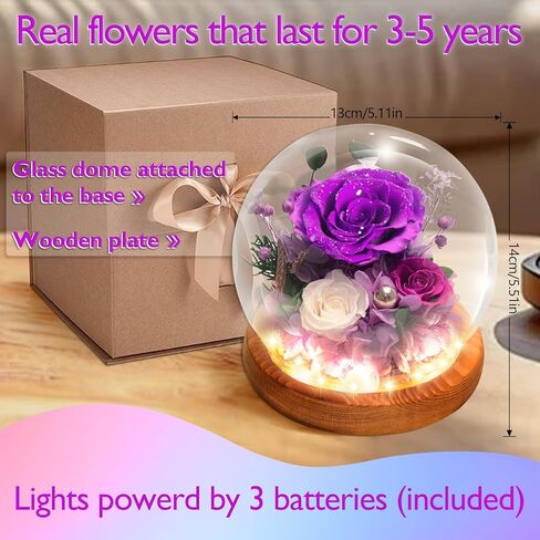 الورود المحفوظة ، الزهور المحفوظة ، الزهور الحقيقية في قبة زجاجية ، زهرة عيد ميلاد للنساء ، هدايا الورود الأرجواني لأمي جدة زوجة الأخت in Kuwait