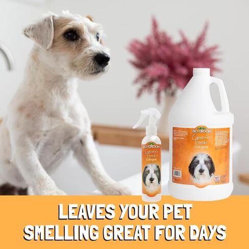 Bio-Groom Groom'n Fresh Dog Cologne – Deodorizing Spray, Dog Bathing Supplies, Puppy Wash, Cat & Dog Grooming Supplies, Cruelty-Free, Made in USA, Dog Perfume – 32 fl oz 1-Pack in Saudi Arabia