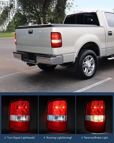 Nilight Taillight Assembly Compatible with 2004 2005 2006 2007 2008 Ford F150 Rear Lamp Replacement OE Style Passenger Side in Saudi Arabia