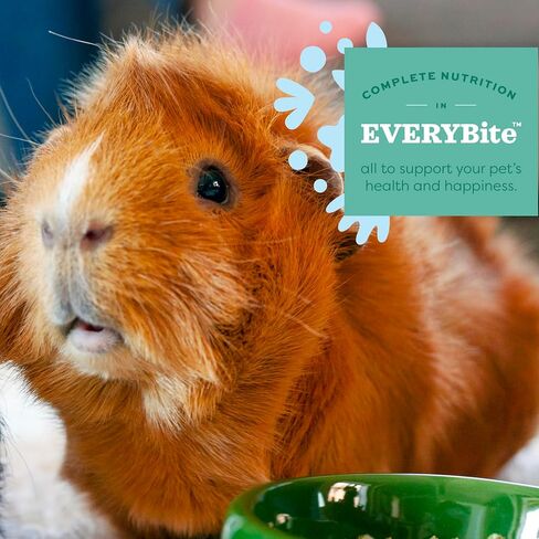 Oxbow Essentials Senior Guinea Pig Food - All Natural Food Pellets for Senior Guinea Pigs - 8 lb. in Kuwait