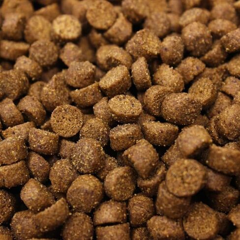 Higgins Pet Food Intune Ferret 4Lb in Kuwait