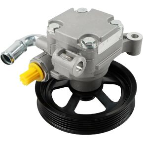 20-2403 Power Steering Pump Fits for 2008-2017 Enclave,2009-2017 Traverse/Acadia 6 Cyl 3.6L, for Saturn Outlook 2007-2010 6 Cyl 3.6L Power Assist Pump, Replace OE 20954812, 96-2403