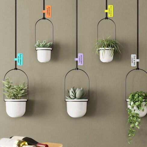 40 عبوة من ملصقات الكابلات للكتابة، منطقة HASA متعددة الألوان (8 ألوان) ملصقات سلكية، ملصقات سلك بخطاف وحلقة، علامات كابل لإدارة الكابلات وسهولة التعرف عليها in Kuwait