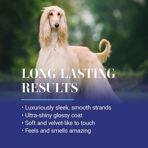 Chris Christensen Ice on Ice Detangling Dog Conditioner, Groom Like a Professional, Dematts, Moisturizes, Creates Long Lasting Silkiness, All Coat Types, Made in USA, 1gal in Saudi Arabia