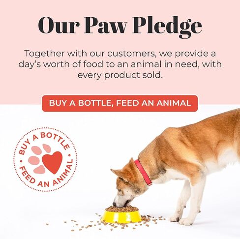 SKOUT'S HONOR: Probiotic Pet Shampoo & Conditioner - 2-in-1 with Avocado Oil - Cleans and Conditions Fur, Supports Pet’s Natural Defenses, PH-Balanced, Sulfate-Free - Lavender - 16 oz. in Saudi Arabia