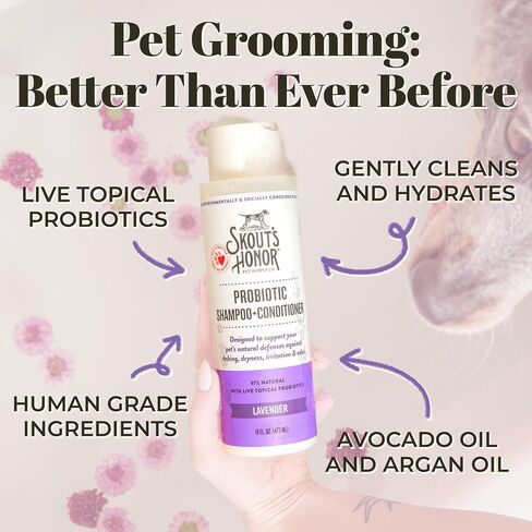 SKOUT'S HONOR: Probiotic Pet Shampoo & Conditioner - 2-in-1 with Avocado Oil - Cleans and Conditions Fur, Supports Pet’s Natural Defenses, PH-Balanced, Sulfate-Free - Lavender - 16 oz. in Saudi Arabia