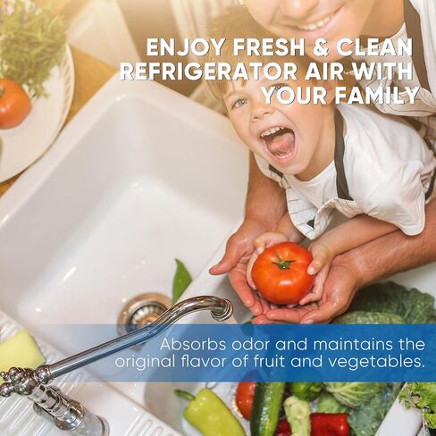 PUREPLUS LT120F Refrigerator Air Filter Replacement for LG LT120F, Kenmore Elite 469918, 9918, ADQ73214402, ADQ73214403, ADQ73214404, ADQ73334008, 12PACK, Dimensions 3.23" X 3.23" in Kuwait