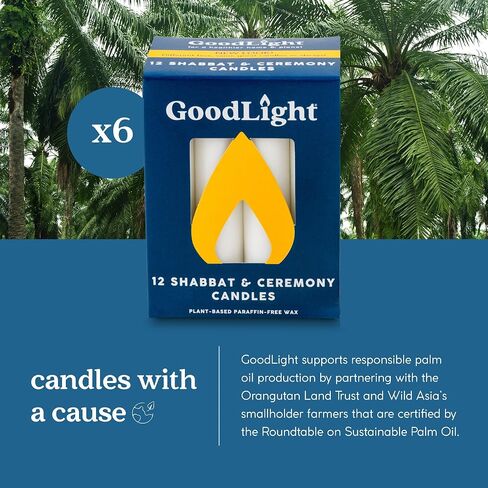 Paraffin-Free Shabbat Shabbos Sabbath Candles - Pack of (12) White in Kuwait