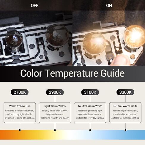 3157 لمبة 20 حزمة ، 12 فولت 21/5W مصباح فرامل المصباح مزدوج التلامس مصباح هالوجين مقاوم للصدمات ، لمبة زجاجية كوارتز القياسية ، تناسب معظم السيارات والشاحنات وسيارات الدفع الرباعي. in Kuwait
