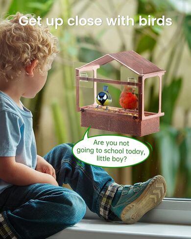 Window Bird Feeder, Desgully Durable Metal Window Bird Feeder, Window Bird Feeders with Strong Suction Cups, Super Adhesive Sheet×4，Large Outdoor Bird Feeder, Bird Watching Gift, Wild Bird Feeder in Saudi Arabia