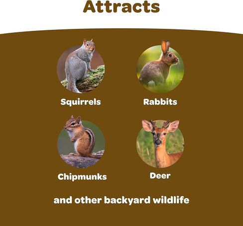 Kaytee Squirrel & Critter Food Blend For Squirrels, Chipmunks, Rabbits & Other Backyard Wildlife in Saudi Arabia