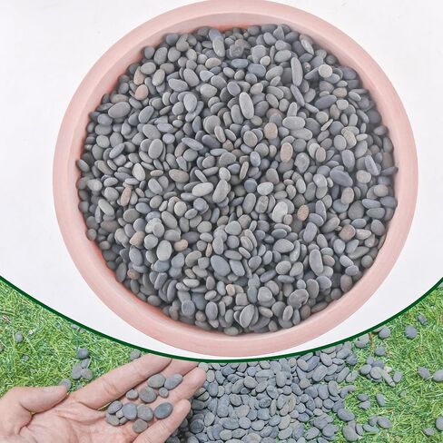 7LB River Rocks Mexican Beach Pebbles for Garden Landscape Plants Paving Grey 1Inch - 1.5Inch in Kuwait