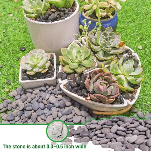 7LB River Rocks Mexican Beach Pebbles for Garden Landscape Plants Paving Grey 1Inch - 1.5Inch in Kuwait