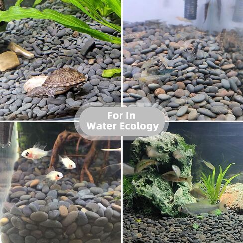7LB River Rocks Mexican Beach Pebbles for Garden Landscape Plants Paving Grey 1Inch - 1.5Inch in Kuwait