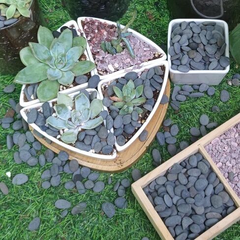 7LB River Rocks Mexican Beach Pebbles for Garden Landscape Plants Paving Grey 1Inch - 1.5Inch in Kuwait