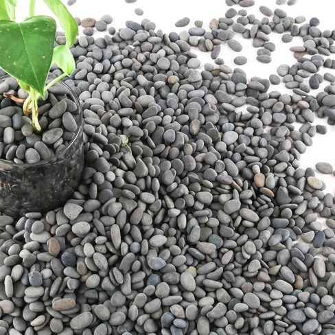 7LB River Rocks Mexican Beach Pebbles for Garden Landscape Plants Paving Grey 1Inch - 1.5Inch in Kuwait