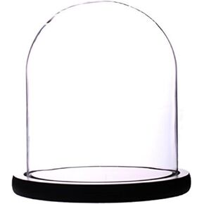 Glass Cloche Bell Jar Display Dome with Black Wooden Base 6" x 7" (6 * 7) (Dia 6" H 7")