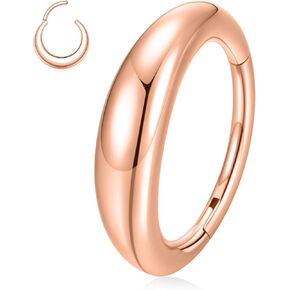 Gagabody Septum Jewelry Conch Piercing Jewelry 16 Action أقراط حلقة الحاجز أقراط أقراط الأنف الطوق Daith Daith Surgical Steel Helix Percing Jewelry Accort