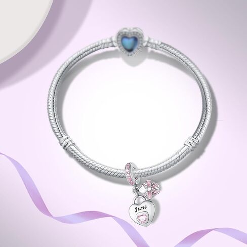 925 Sterling Silver Birthstone Bracelet Charm - Unique Heart Shaped Design, Fits most Europe Pandora Bracelets and Necklaces, women's DIY holiday Gifts in Kuwait