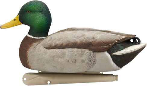 AVIAN-X Topflight Open Water Duck متينة وواقعية للصيد العائمة، حزمة من 6 قطع، AVX8060 in Saudi Arabia
