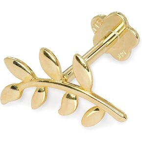 المجوهرات - الصلبة 14K الذهب الأصفر 18G 10 مم فرع الزيتون Labret Tragus Conch Helix Cratilage Stud - ثقب Hypoallergenic للنساء والرجال - قرط مسطح الظهر - غير مشوه