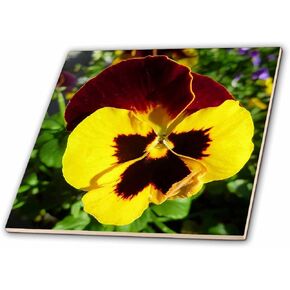 3dRose ct_35309_2 Yellow Burnt Red Pansy-Ceramic Tile, 6-Inch