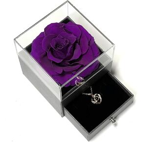 Preserved Genuine Rose Gift Box with Necklace Perfect Romantic Gift for Valentine's Day/Anniversary/Birthday/and Other Holiday Occasions for Her (Light Pink, Necklace In silver)