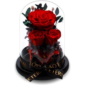Forever Preserved Rose for Women, Preserved Flowers in Glass Dome with LED Lights, Long Lasting Real Roses Gifts for Mother's Day, Christmas, Anniversary and Birthday