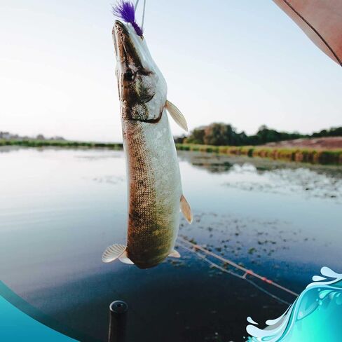 ذباب صيد من Wooly Bugger Fly for Trout and Other من الأسماك في المياه العذبة - دستة من الذباب الرطبة في أنماط مختلفة - متعددة الألوان مقاسات عديدة in Saudi Arabia