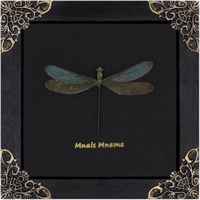 Dragonfly Framed Decoration Handmade Taxidermy Damselfly Shadow Box Collection Framed Dragonfly Taxidermy for Gothic Home Decor-Mnais Mneme