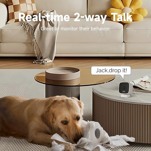 1080p HD Mini Indoor Camera, WiFi Security Camera Pet Camera with Phone App Home Camera for Room/Baby/Dog, Night Vision, 2-Way Audio, Motion Detection for Home Security in Kuwait