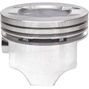MAHLE S224-1916.020 Engine Piston