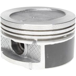 Mahle S224-2815.020 محرك مكبس المحرك