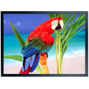 إطارات الملصقات 17x21inch صورة الخشب الصلبة سوداء للملصقات ومساحات الصور 17x21 ، بما في ذلك الأجهزة المعلقة (F22B1721)