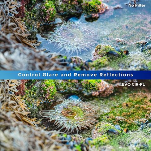 Hoya Evo Antistatic CPL Circular Polarizer Filter - 82mm - Dust / Stain / Water Repellent, Low-Profile Filter Frame in Saudi Arabia
