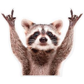 GRITKULTURE Removable 7-Inch Rocking Raccoon Decal Sticker for Funny Cute Prank Bumper Car, Truck, Laptop Wall Window -Zero Residue