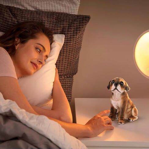 Dog Statue, Home Decor Dog Figurine, Hand-Painted Figure Gifts for Dog Lover Labrador Statue in Kuwait