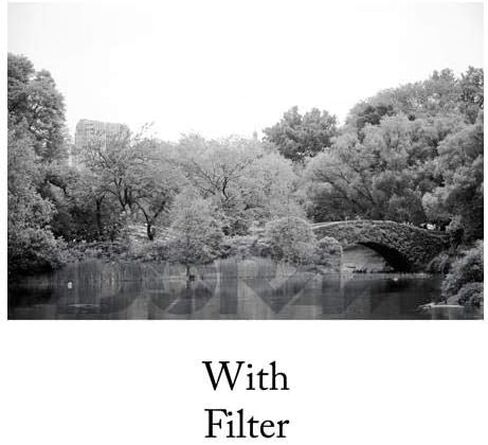 Tiffen 52mm 11 Filter (Green) in Saudi Arabia
