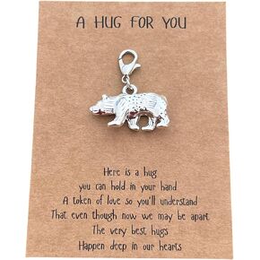 AMOBESTER Bear Clip on Charms Polar Bear American 3D Two-Sided Bear Charms with A Hug For You Greeting Card for Animal Lover Mother's day