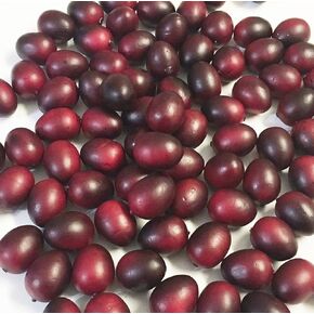 200 Pcs Christmas Artificial Cranberries for Vase, Bowl Filler, Decorative Fake Fruit