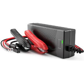 12V 3A LiFePO4 Charger 14.6V Special for 12V/12.8V Lithium LiFePO4 Batteries, Waterproof Onboard Battery Charger with SAE, M8 Eyelet, Alligator Clips for Marine Car Boart Trolling Motor RV