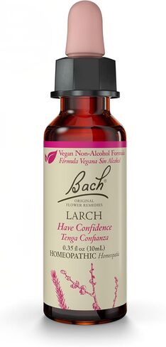 Bach Original Flower Remedies, Larch for Confidence (Non-Alcohol Formula), Natural Homeopathic Flower Essence, Holistic Wellness and Stress Relief, Vegan, 10mL Dropper in Saudi Arabia