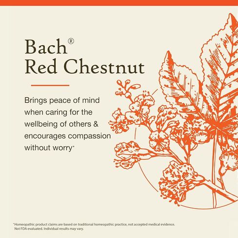 Bach Original Flower Remedies, Aspen for Apprehension and Security, Natural Homeopathic Flower Essence, Holistic Wellness, Vegan, 20mL Dropper in Saudi Arabia