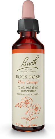 Bach Original Flower Remedies, Aspen for Apprehension and Security, Natural Homeopathic Flower Essence, Holistic Wellness, Vegan, 20mL Dropper in Kuwait